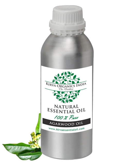 FENNEL SEED OIL - Kirva Organics India